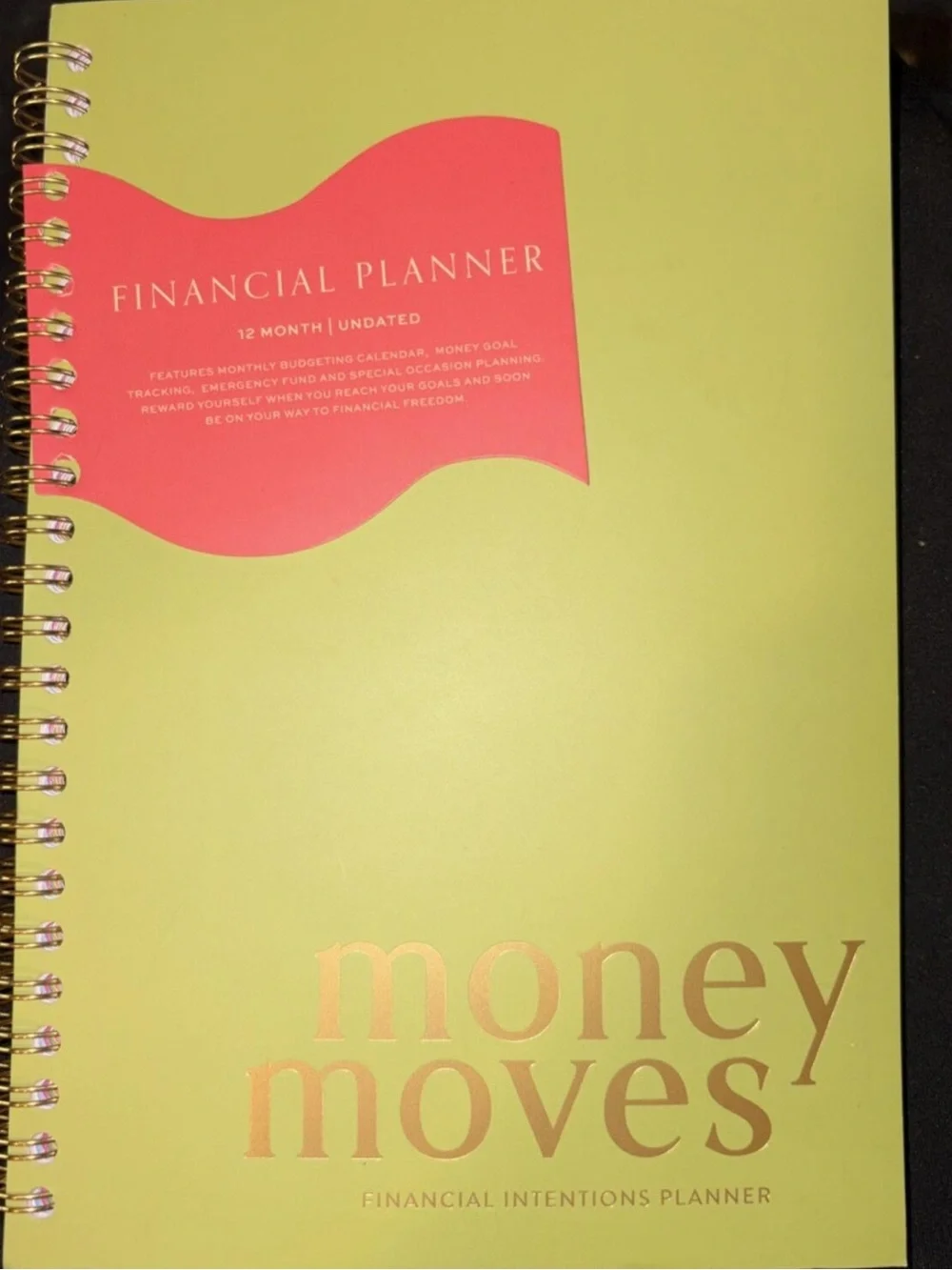 Target Money Moves Financial Planner by Love x June - Undated Version